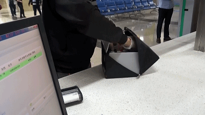 W020200313570154557591.gif