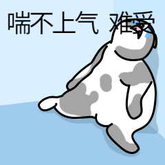 W020211029312470828558.gif