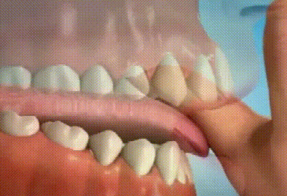 W020220608563929155581.gif