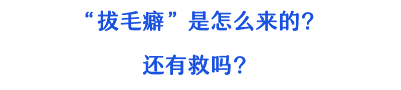 W020210318304699235030.png