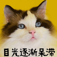 W020211025399682891454.gif