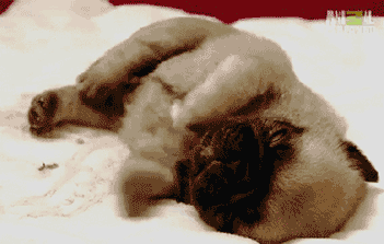 W020191017350993373646.gif