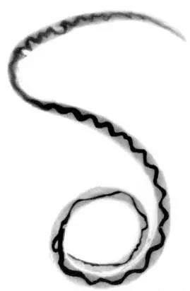 W020190813334585851990.jpg