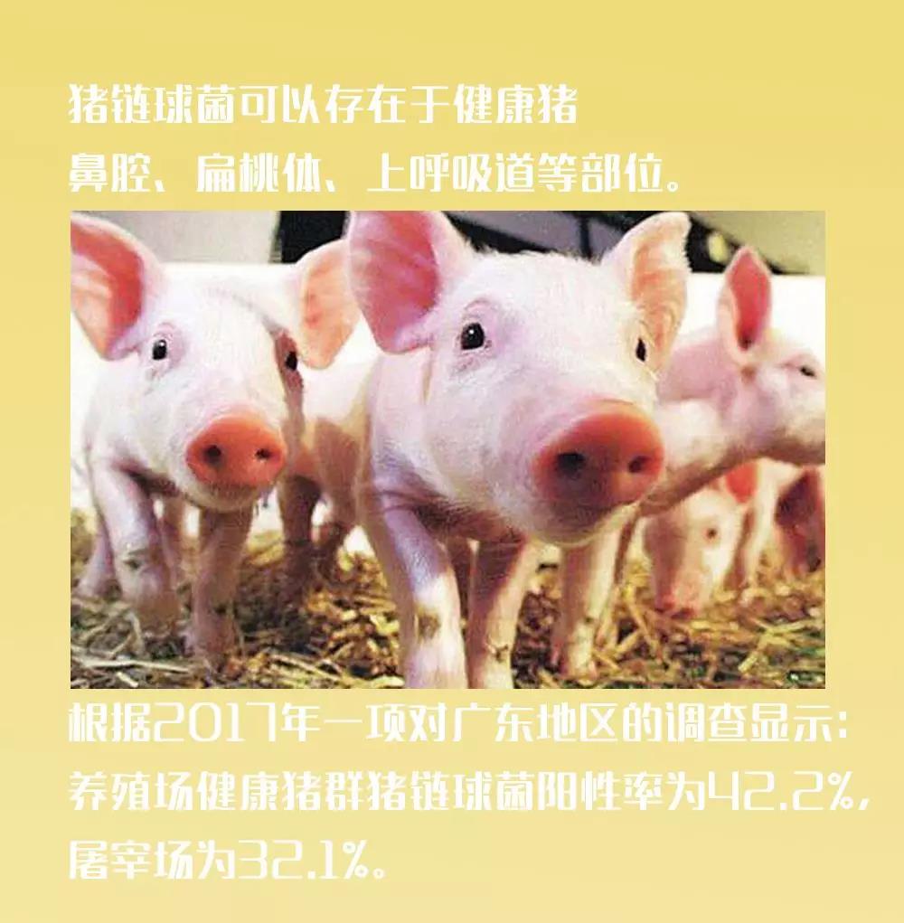 W020190425329241099116.jpg