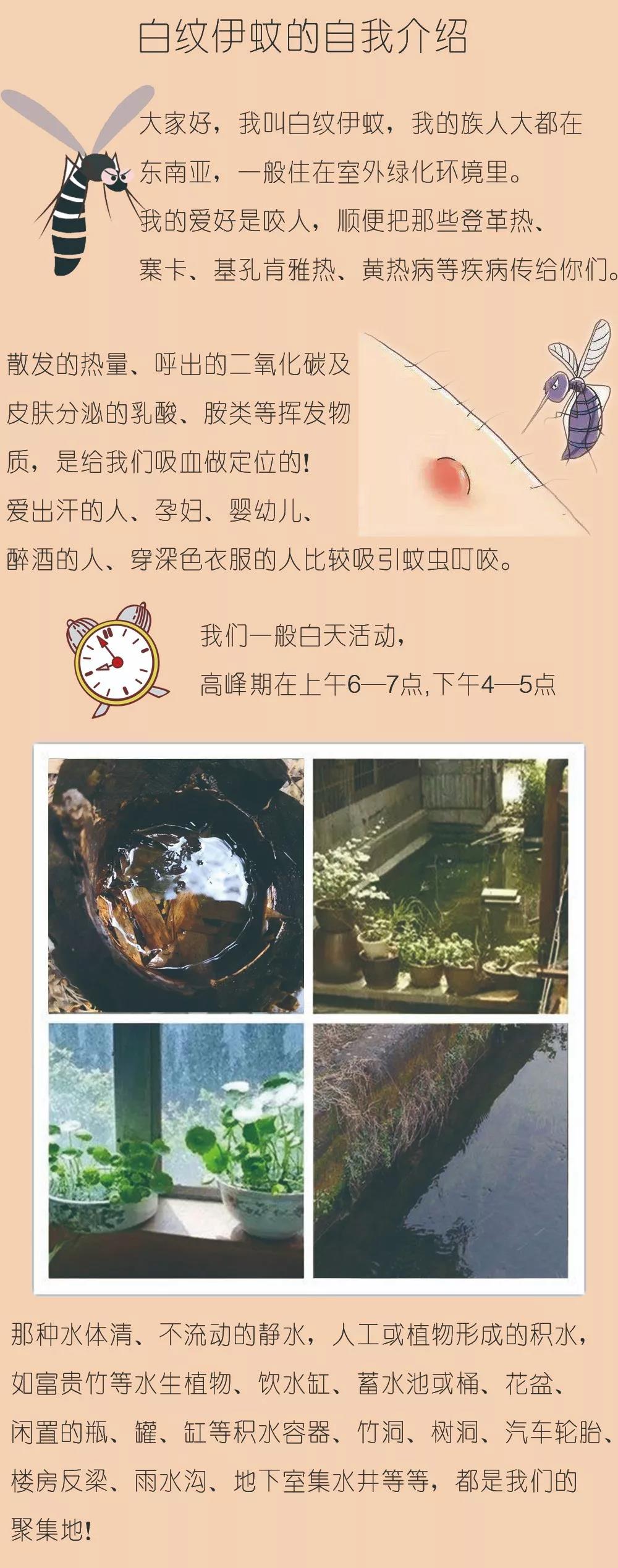 W020190613580203823711.jpg