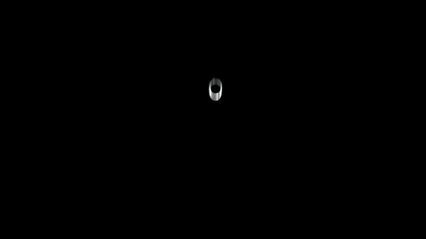 W020190508318004877303.gif