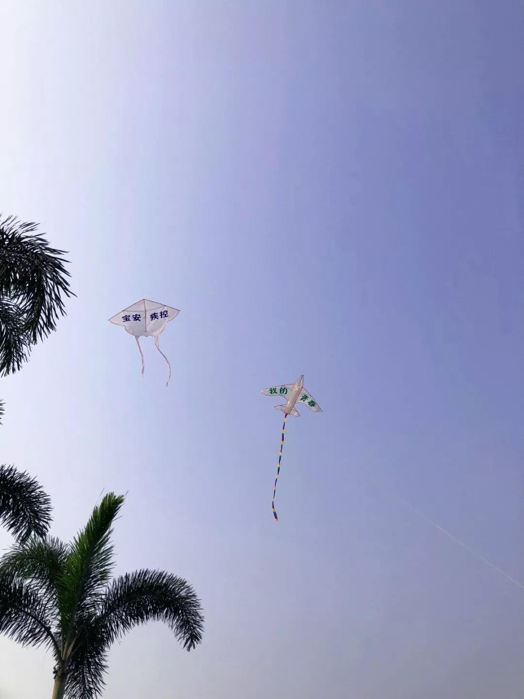 W020190515315053476308.jpg