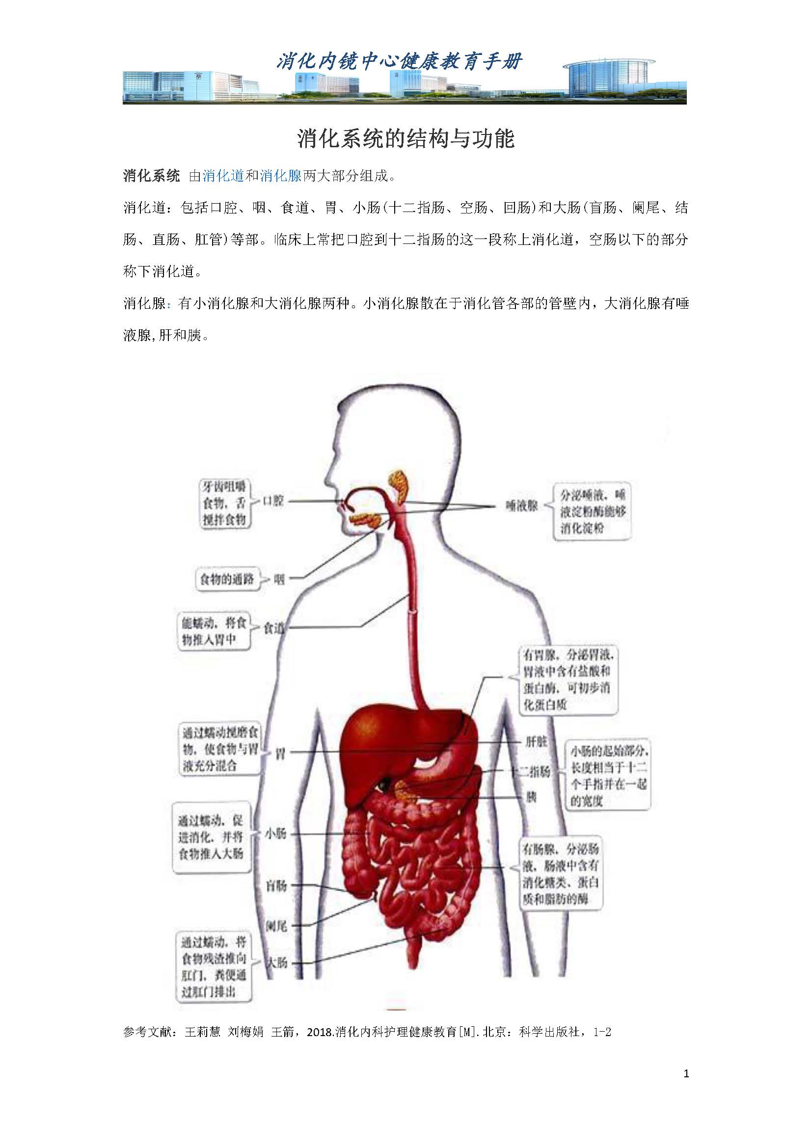 消化内镜-健康教育_页面_01