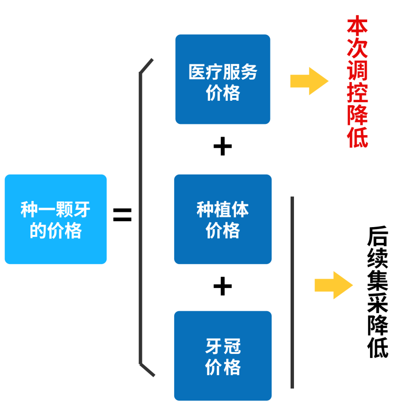 种牙齿.png