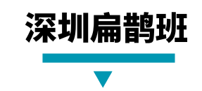 深圳扁鹊班.png