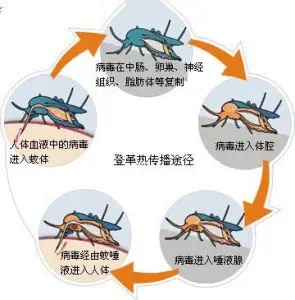 微信图片_20231011082519.png