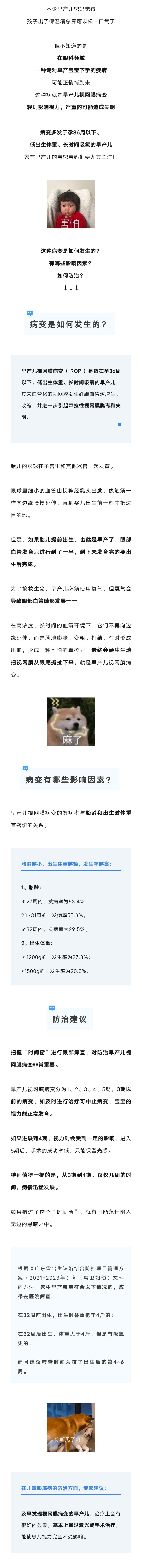 20231027 视网膜病变专挑这类宝宝下手！.jpg