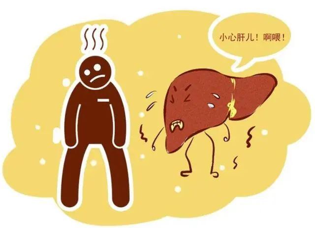 肝硬化.jpeg