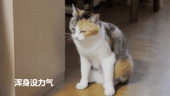 浑身没力气.gif