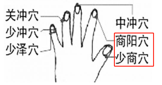 少商穴、商阳穴放血.png