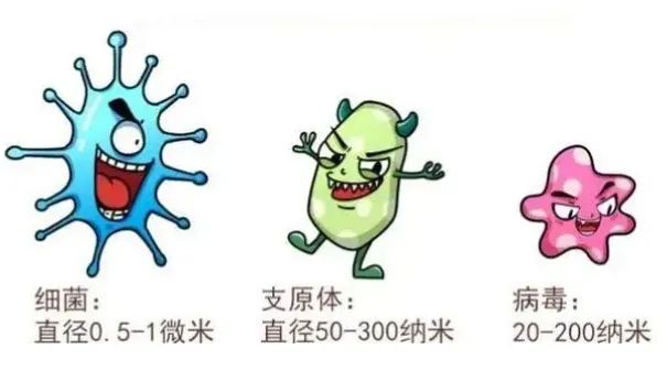 细菌.jpeg