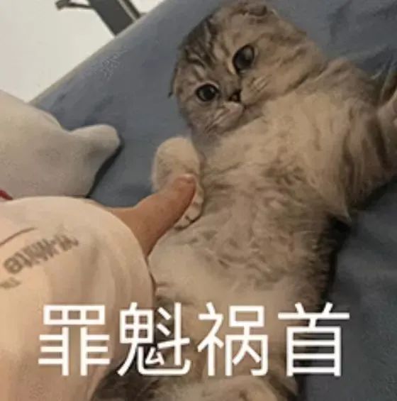 罪魁祸首.jpeg