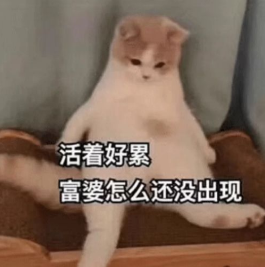 活的好累.png