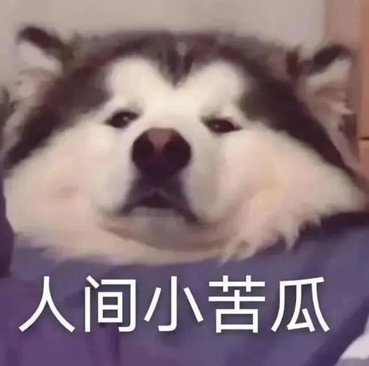 人间小苦瓜.png
