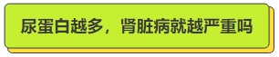 尿蛋白越多，肾脏病就越严重吗.png