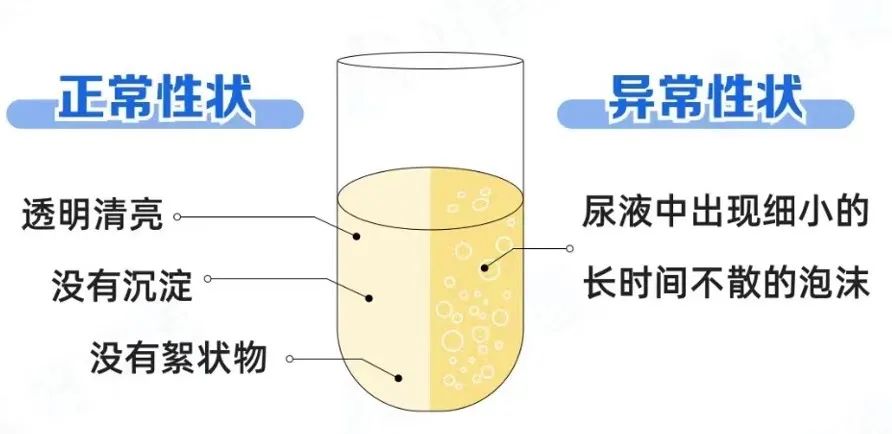 正常性状.jpeg