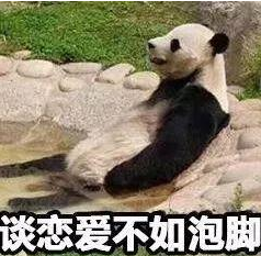 谈恋爱不如泡脚.png