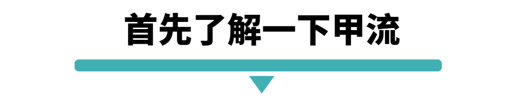 首先了解一下甲流.png
