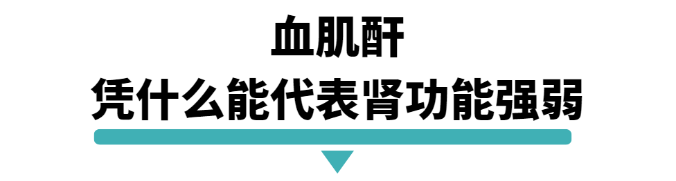 血肌酐凭什么能代表肾功能强弱.png