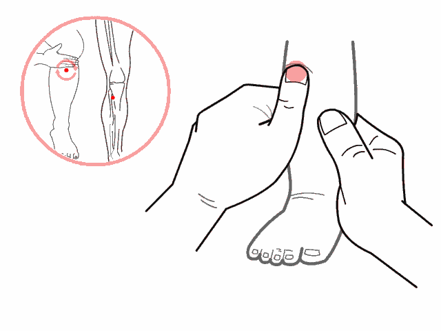 揉按足三里穴.gif