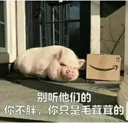 别听他们的.png