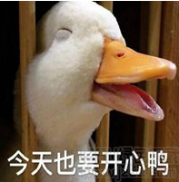 今天也要开心鸭.png
