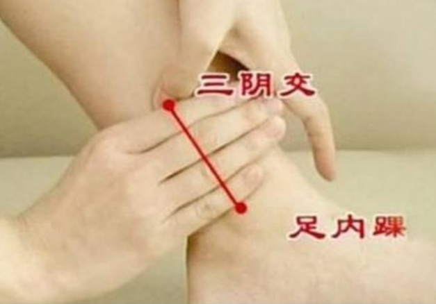 三阴交.png
