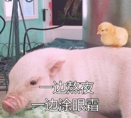 一遍熬夜.png