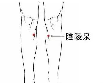 阴陵泉.png