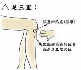 足三里.png