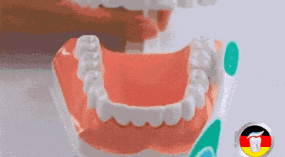 刷牙方法.gif