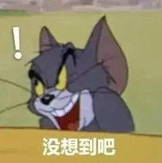 没有想到.png