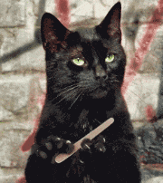 优雅的磨指甲.gif