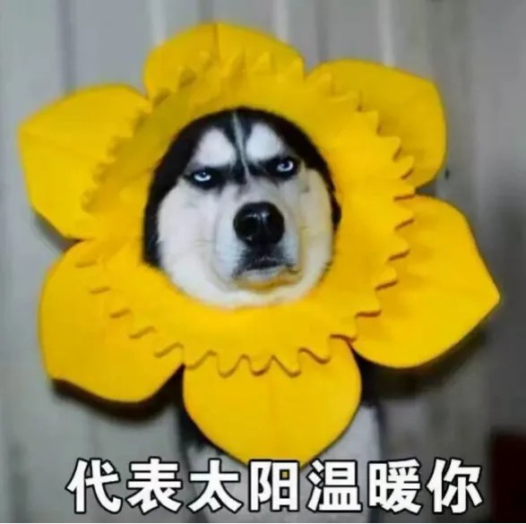 代表阳光.jpg