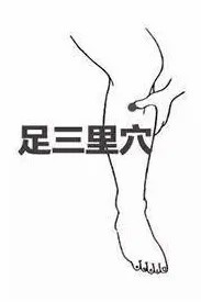 足三里.jpg