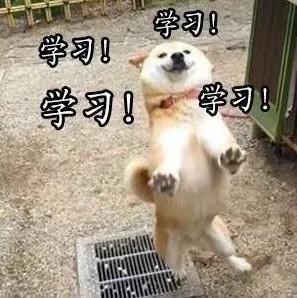 学习.jpg