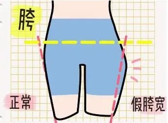 假胯宽.jpg