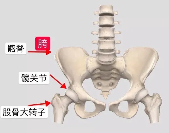 真胯宽人群.jpg