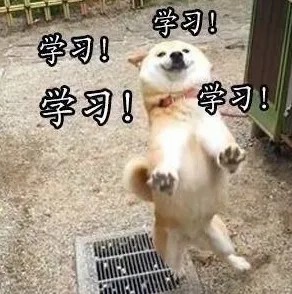 学习.jpg