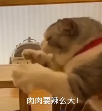 肉肉要辣么大.jpg