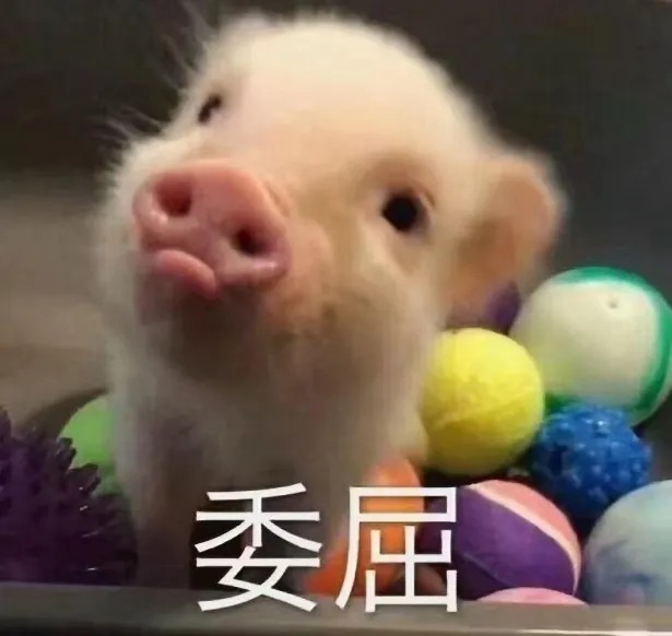 委屈求全.jpg