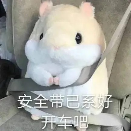 安全带已系好.jpg