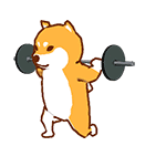 举重.gif