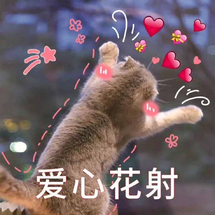 爱心花射.jpg
