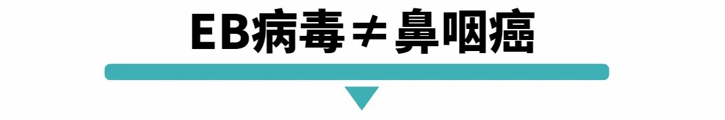EB病毒不是鼻咽癌.jpg